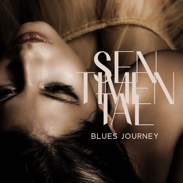 Sentimental Blues Journey - Good City Music Band