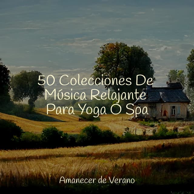 50 Colecciones De Música Relajante Para Yoga O Spa - Meditación Guiada