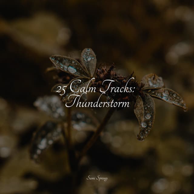 25 Calm Tracks: Thunderstorm - Deep Focus