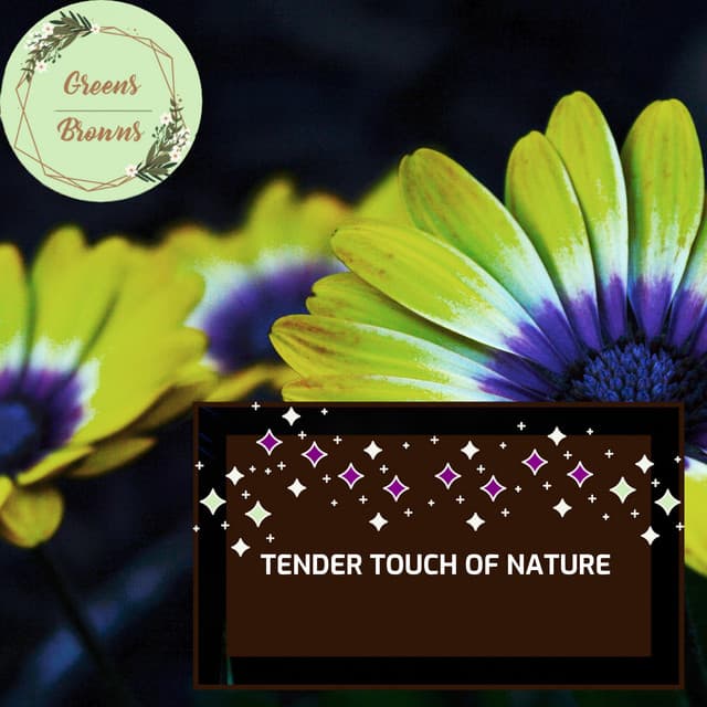Tender Touch of Nature - Calm Music