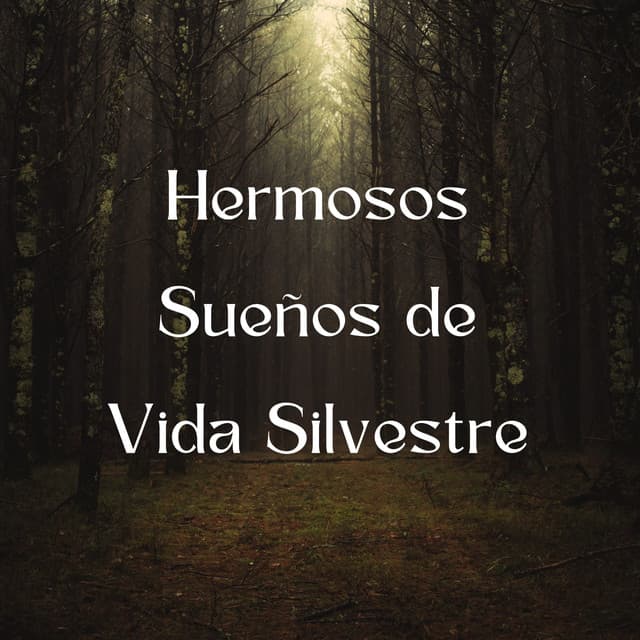 Hermosos Sueños De Vida Silvestre - Grabaciones de sonido de vida silvestre