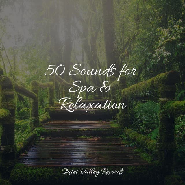 50 Sounds for Spa & Relaxation - Rainfall