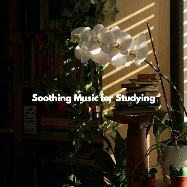 Soothing Music for Studying - Musica para Estudiar