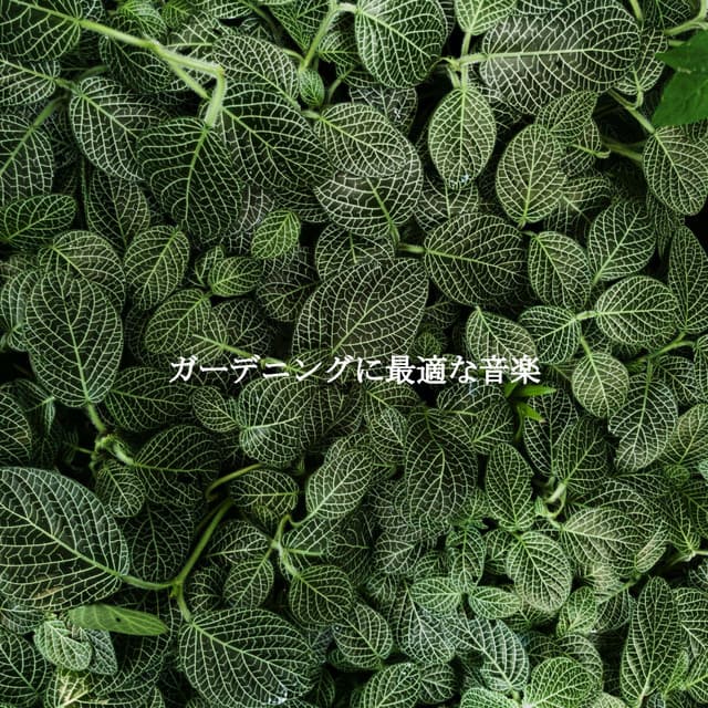 Trabajar desde Casa Latidos