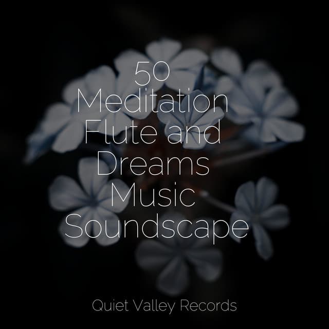 50 Meditation Flute and Dreams Music Soundscapes - Rain Man Sounds