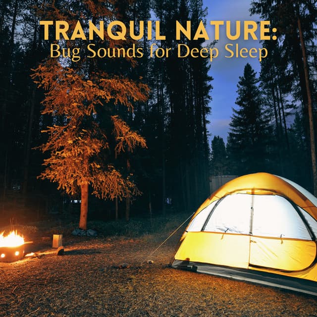 Tranquil Nature: Bug Sounds for Deep Sleep - Night Crickets