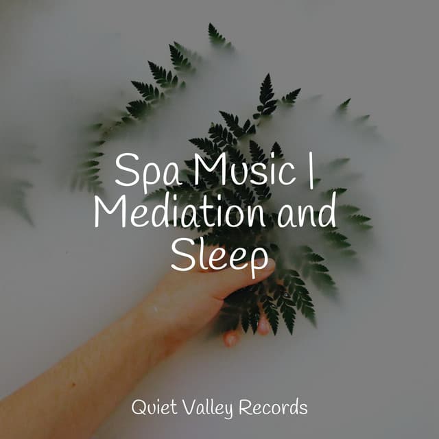 Spa Music | Mediation and Sleep - Rain Sounds & Nature Sounds